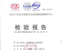 定型试验检验报告5